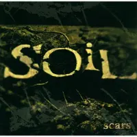 Bertus Distributie Scars