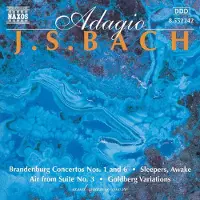 OUTHERE Various Artists - J.S. Bach: Adagio (CD)