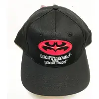 Warner bros Batman & Robin Logo Cap - Pet
