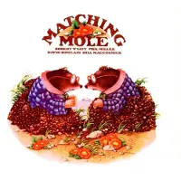 Cherry Red Records Matching Mole (Remastered+Expanded 2CD)