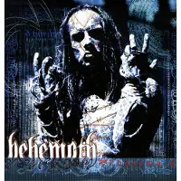 Import Thelema 6