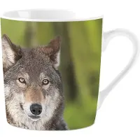 Plenty Gifts Mok Wolves
