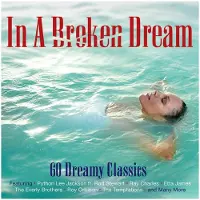 Cd In A Broken Dream