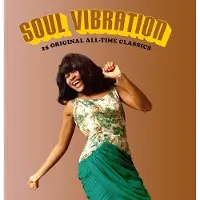 Bertus Distributie VARIOUS - Soul Vibration | CD