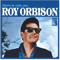Universal Music There Is Only One Roy Orbison
