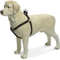 Beeztees - Hondentuig - Mac Leather - Zwart - 35-60 cm