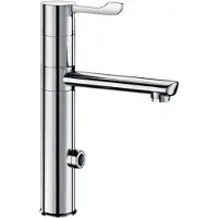 Delabie Elek. Mngkrn 230V+Hoge Draaib Uitl. H.165 L.160 Hendel L.100