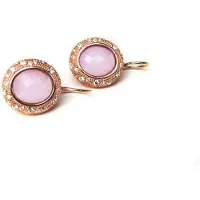 Sophie model Bonbon oorringen in zilver roze verguld gezet met roze steen