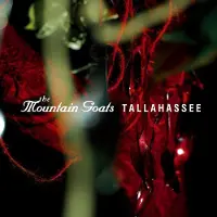 Import Tallahasse