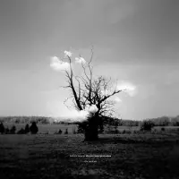 Bigwax Dis Cnt Dream Interpretation (The Remixes)