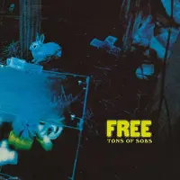 Universal Music Free - Tons Of Sobs (LP)