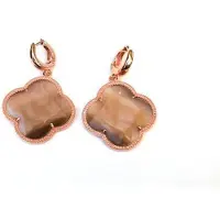 Sophie model Fiori groot oorringen in zilver roos verguld bruin