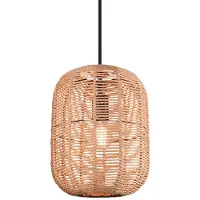 TRIO RUNA - Hanglamp - Zwart mat - excl. 1x E27 40W