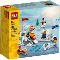 LEGO Winters sneeuwballengevecht - 40424
