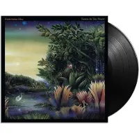 Warner Music Fleetwood Mac - TANGO IN THE NIGHT | Vinyl