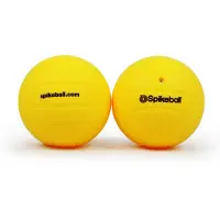 Spikeball - Standard Balls 2 pack - Ballen