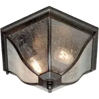 Elstead Lighting Bronskleurige buiten plafondlamp New England, helder / transparant, metaal, plafondlamp