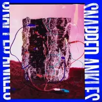 Ginza.se Snapped Ankles - Forest Of Your Problems (LP)