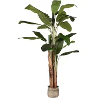 Label51 Musa 180 cm groen