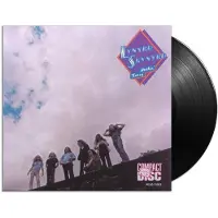 Lynyrd Skynyrd Nuthin' Fancy