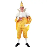Partyxplosion Prins Pils kostuum Carnaval Heren