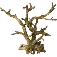 Ebi Aqua Della Bonsai grijs zonder bladeren (Andere objecten)