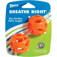 Chuckit! Breathe Right Fetch Ball Medium ø 6 cm