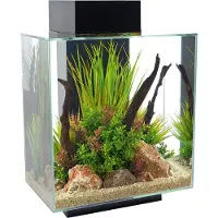 Fluval Edge Led 2.0 46l Aquariumset