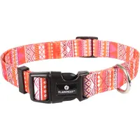 Flamingo Syb - Halsband Honden - Halsband Syb Oranje/roze/wit M 40-55cm 20mm - 1st - 127998 - 1st