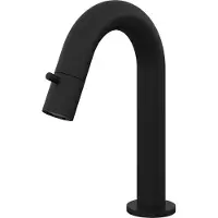 Hotbath Fonteinkraan Dude 1-knop gebogen 19.3 cm Rond Mat Zwart