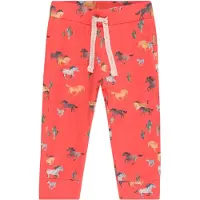Noppies Broek Moos Baby Maat 74