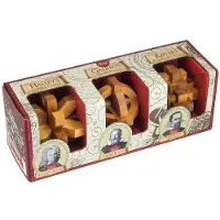 Professor puzzle houten hersenkrakers set - 3 stuks puzzelspel.