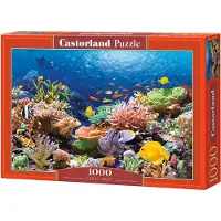 Castorland Coral Reef Fishes Puzzel (1000 stukjes)