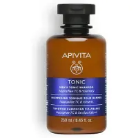 Apivita Hair Care Shampoo Men's Tonic Shampoo Hippophae TC & Rosemary 250ml | Dierproefvrije Shampoo