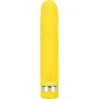 California Exotics Bullet Vibrator Slay Seduce Me
