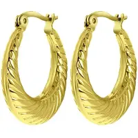 Lucardi Dames Essie oorbellen - Oorbellen - Cadeau - Staal - Goudkleurig
