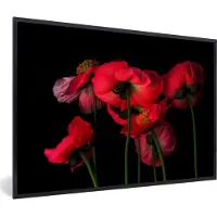 PosterMonkey Fotolijst incl. Poster - De IJslandse papavers op een zwarte achtergrond - 30x20 cm - Posterlijst