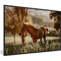PosterMonkey Fotolijst incl. Poster - Paard - Licht - Weide - 60x40 cm - Posterlijst