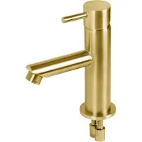 Differnz Wastafelkraan Recht †“ Mengkraan †“ Koud en Warm †“ Toiletkraan †“ Goud