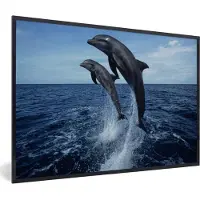 PosterMonkey Fotolijst incl. Poster - Donkere tuimelaars boven het water - 120x80 cm - Posterlijst
