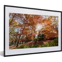 PosterMonkey Fotolijst incl. Poster - Zonlicht door een Japanse esdoorn in het park - 60x40 cm - Posterlijst