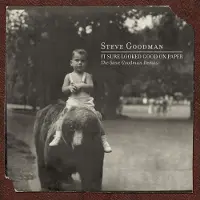 Import It Sure Looked Good On Paper: The Steve Goodman De