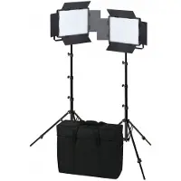 Nanlite 600-CSA dual kit (w/ case & light stand)