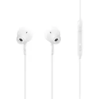 Samsung Eo-ic100 Usb-c Oordopjes