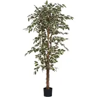 Mica Kunstplant Ficus hawaii, hoogte 180 cm