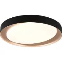 TRIO Zwarte plafonnière Zeta Ø 48cm