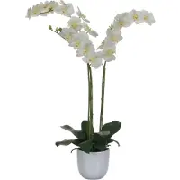 Mica Kunstbloem Phalaenopsis in pot tusca wit, hoogte 100 cm, wit