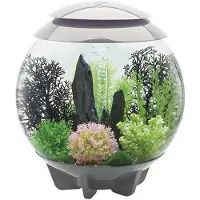 Oase biOrb Halo 30 MCR grijs