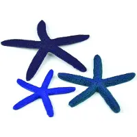 BiOrb Aquariumtoebehoren zeester set 3 blauw