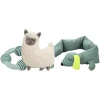 Beeztees Puppy Knuffel Pakket